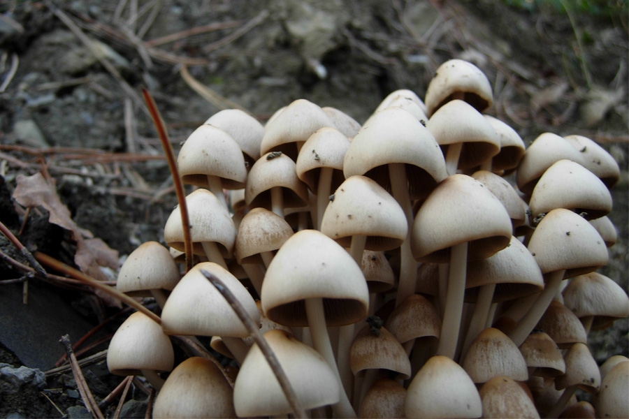 Da solo non ci riesco....